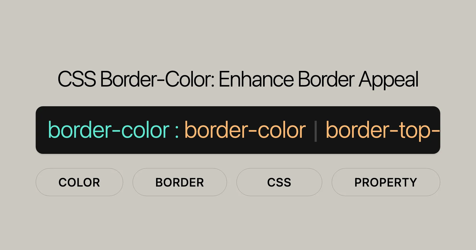 css_property_cover/css-property-border-color.png