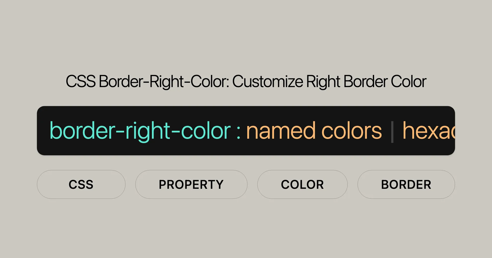 css_property_cover/css-property-border-right-color.png