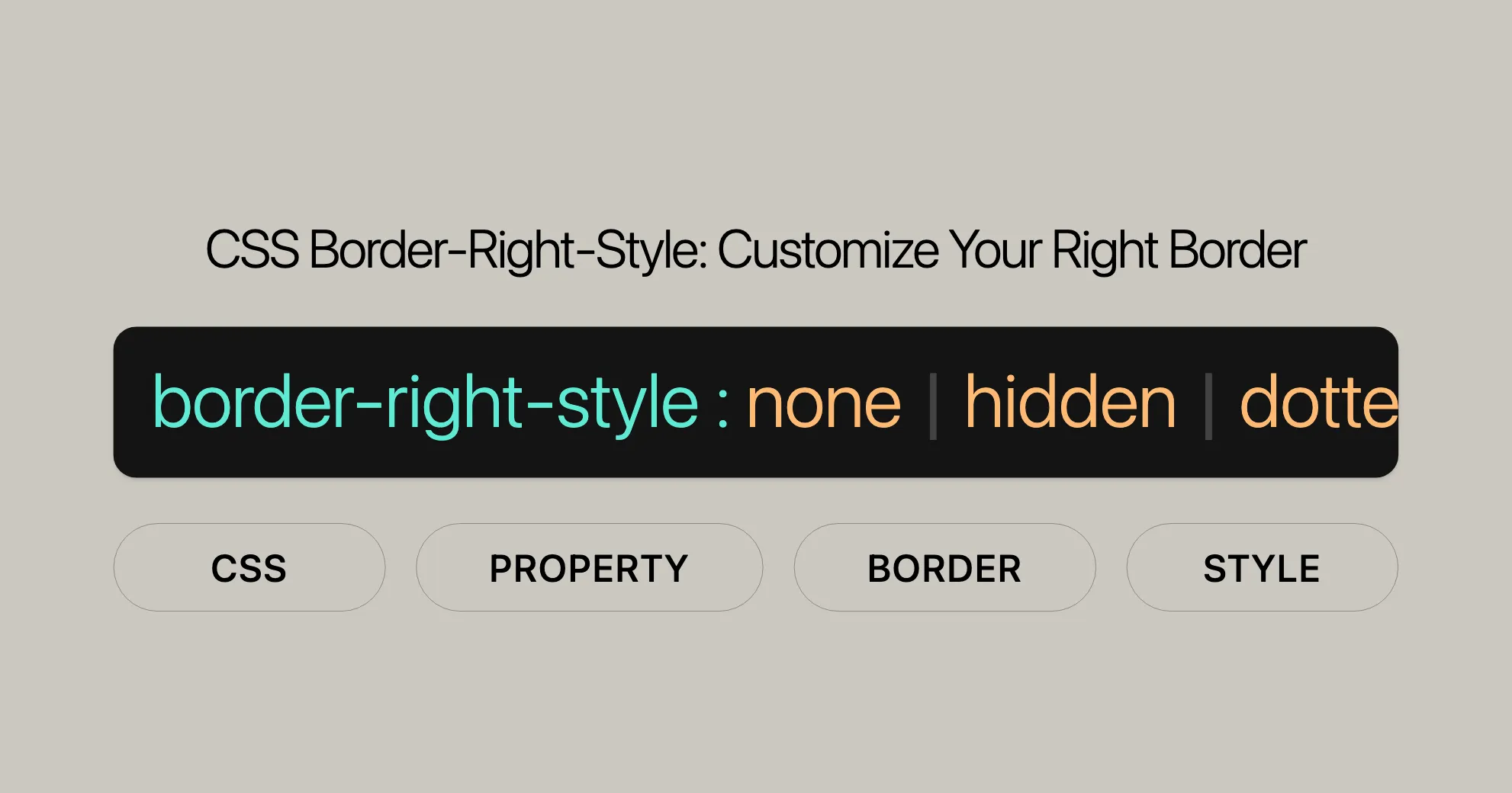 css_property_cover/css-property-border-right-style.png