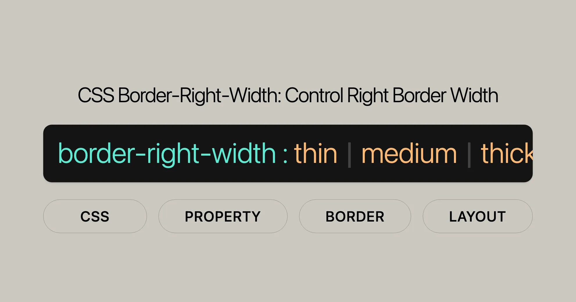 css_property_cover/css-property-border-right-width.png