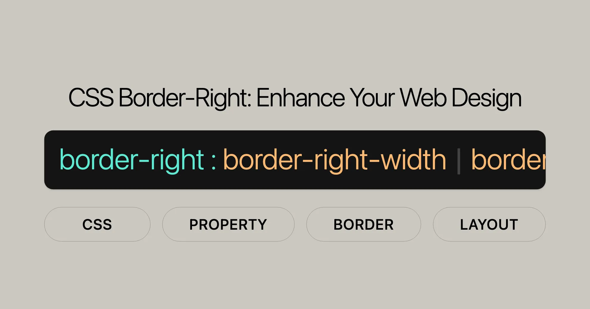 css_property_cover/css-property-border-right.png