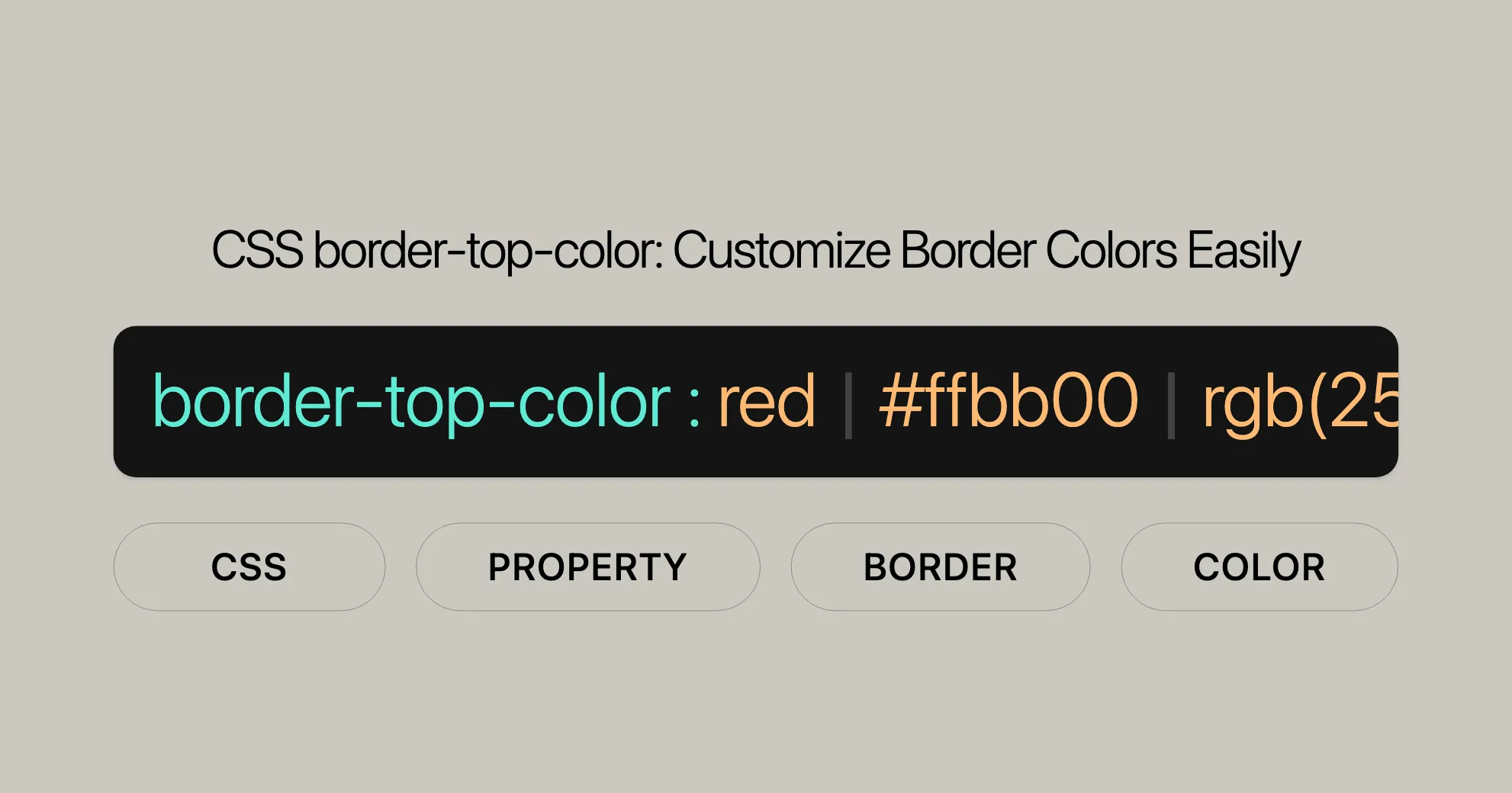 css_property_cover/css-property-border-top-color.png