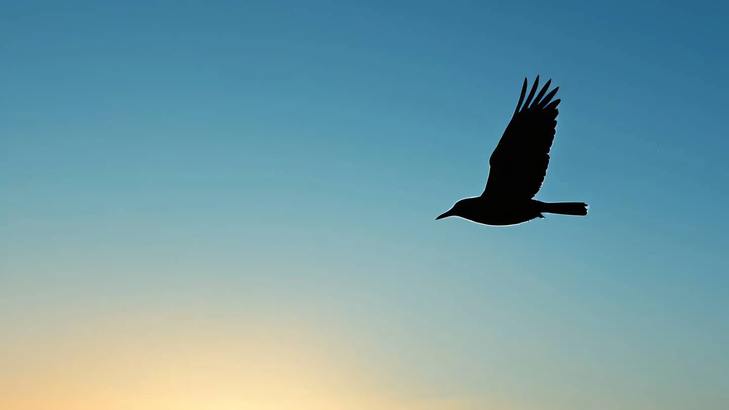 Abstract bird silhouette in flight against a backdrop of bright umber and light blue gradient sky captured from a low angle perspective high-quality ultra-realistic cinematic 8K UHD high resolution sharp and detailed