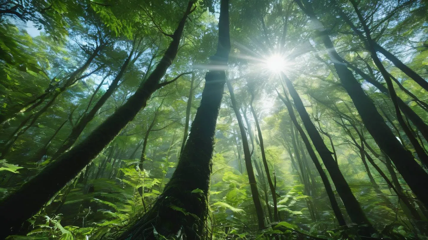 Low-angle view through a dense forest canopy sunlight creating natural light rays through branches seaweed green and stone blue colors in foliage upward perspective high-quality ultra-realistic cinematic 8K UHD