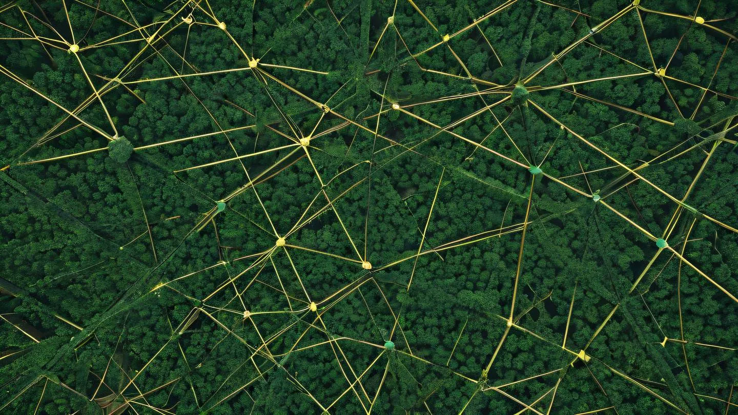 Abstract geometric patterns of interconnected paths and nodes viewed from above featuring sage and pine green colors with golden accents organic flowing shapes suggesting network connectivity captured with a bird's eye view high-quality ultra-realistic cinematic 8K UHD high resolution sharp and detail