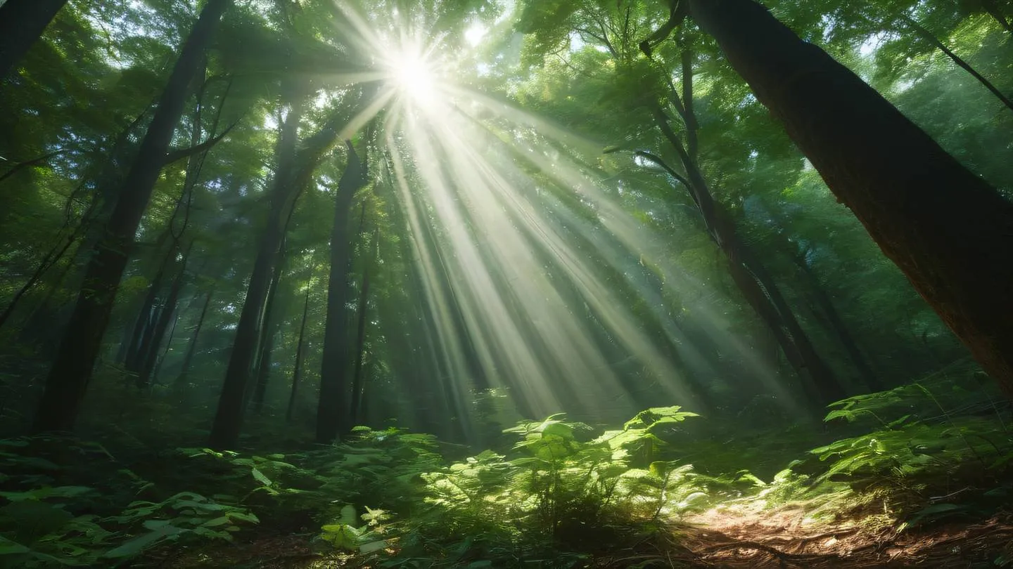 Ethereal light beams piercing through ancient forest canopy casting dramatic shadows. Colors: grapeseed green leaves with off-white light rays filtering through. Camera angle: upward shot from forest floor capturing light rays through the canopy. High-quality ultra-realistic cinematic 8K UHD high resolution sharp and detailed