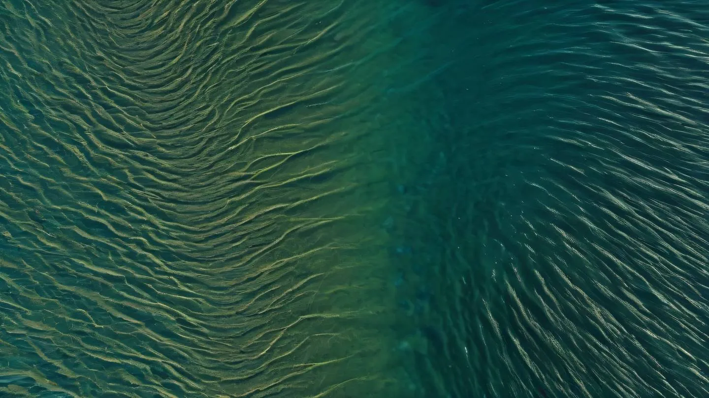 Elegant curved lines in seaweed green and stone blue creating a balanced composition symbolizing harmony and completion high-quality ultra-realistic cinematic 8K UHD high resolution sharp and detail captured from a bird's eye view