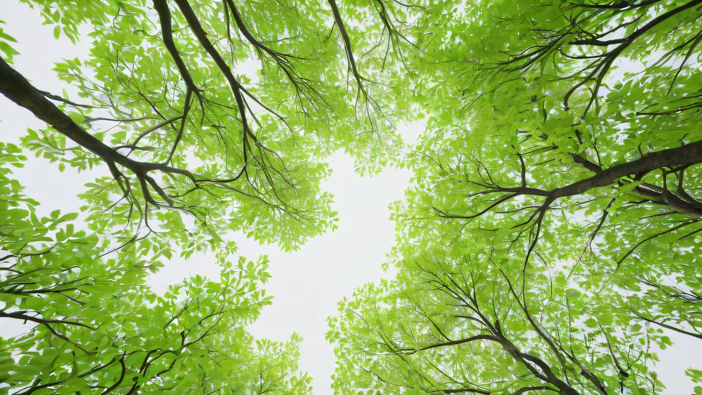 Organic tree branches with neon green leaves spreading against off-white background showing natural hierarchy and connections photographed from bottom-up angle high-quality ultra-realistic cinematic 8K UHD high resolution sharp and detail