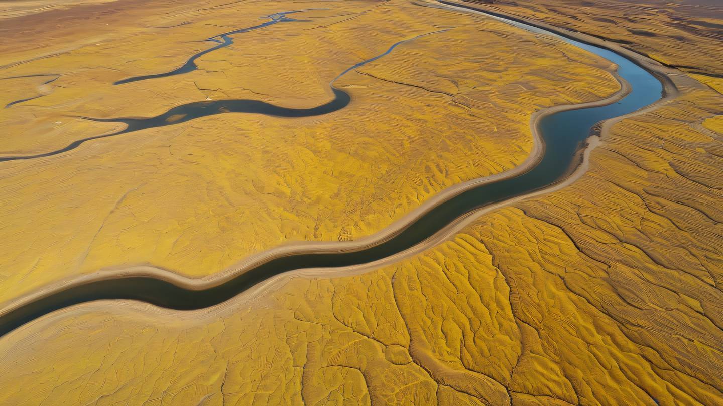 Aerial view of winding river paths through bright yellow desert landscape creating natural flowing patterns camera angle from directly above at high altitude high-quality ultra-realistic cinematic 8K UHD high resolution sharp and detail
