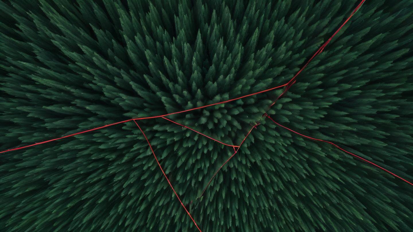 A minimalist abstract composition of flowing lines and geometric shapes in pine green and bright ruby red colors photographed from a bird's eye view high-quality ultra-realistic cinematic 8K UHD high resolution sharp and detail