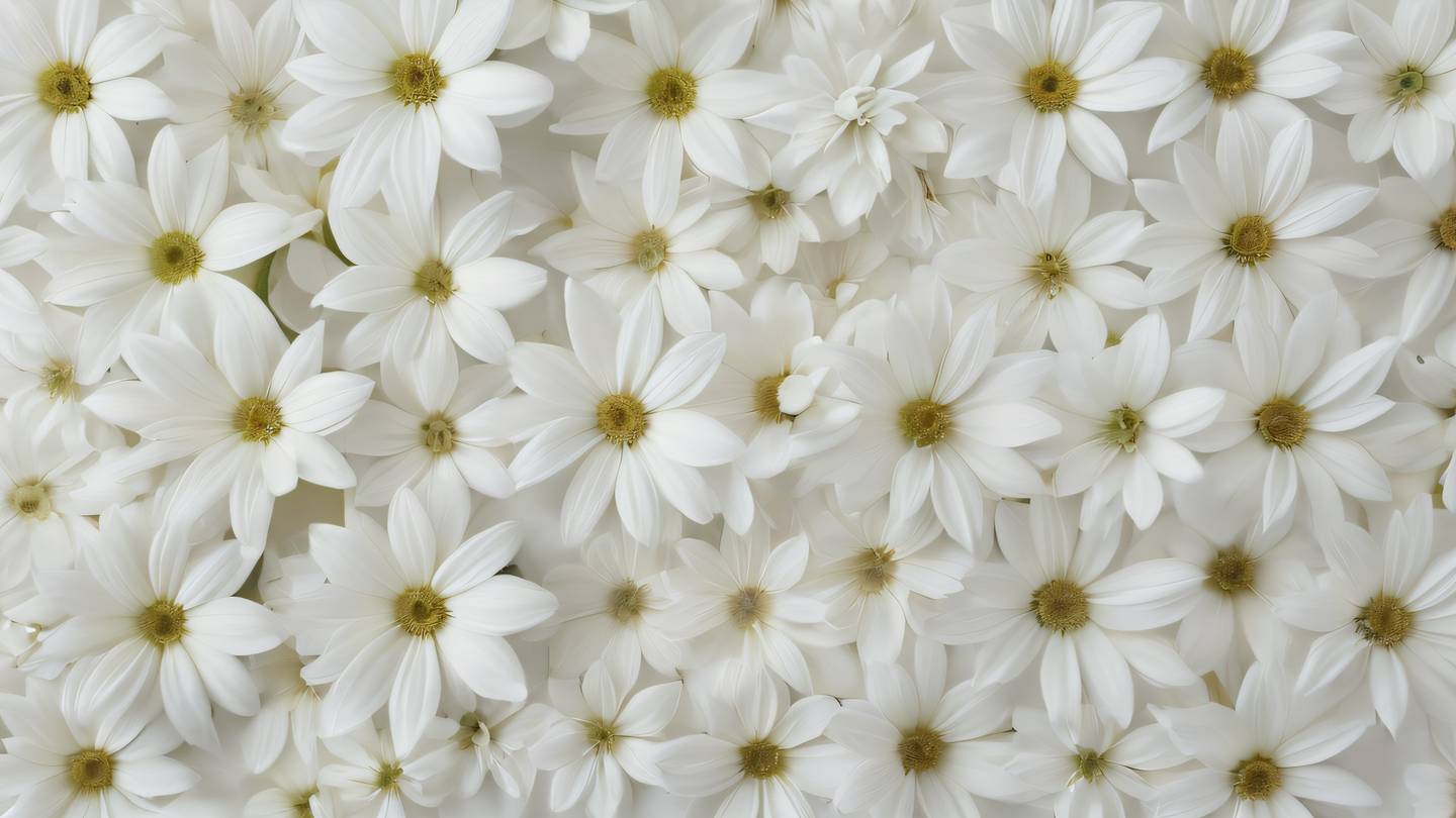 Delicate white flowers with whisper white and rose minimal petals arranged in a geometric pattern creating natural symmetry viewed from directly above high-quality ultra-realistic cinematic 8K UHD high resolution sharp and detail